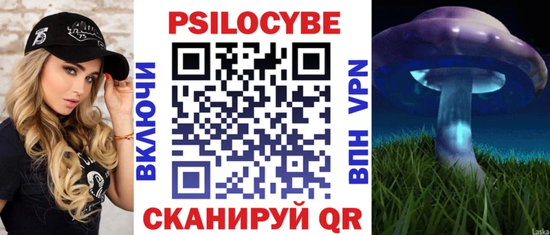 Купить Елизаветинская Галлюциногенные грибы Psilocybine cubensis